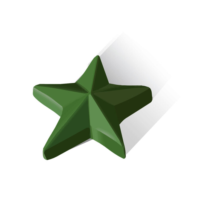 3D Eco Star