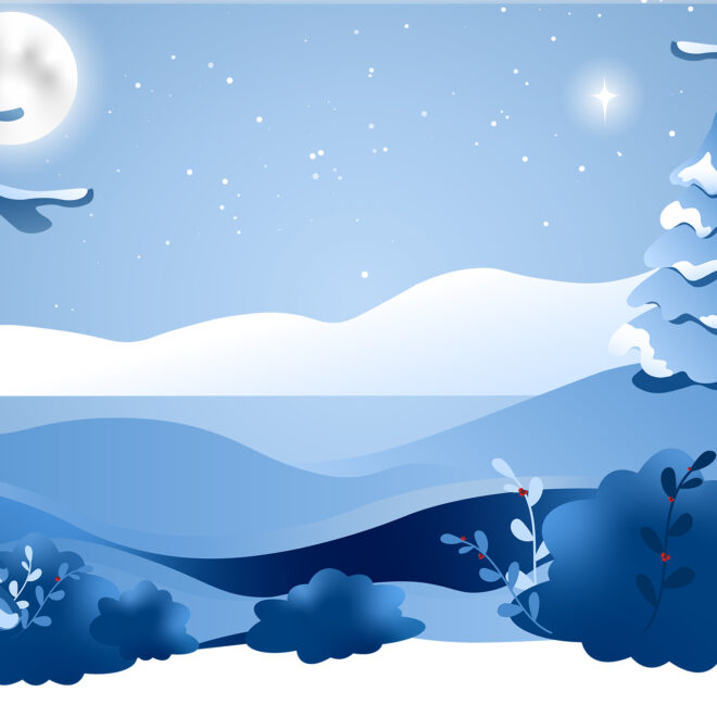 Winter Scene - Moonlight and North Star